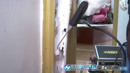 白蟻分飛高峰將至，南通應用新技術提升防治服務水平